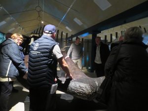 img_4633